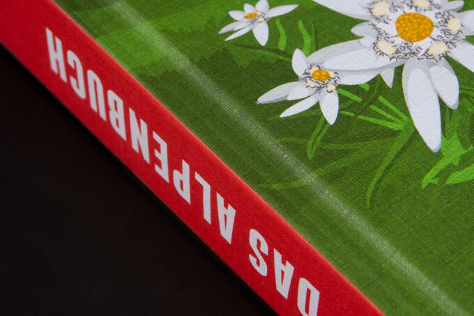 Detailansicht F-Color Leinen